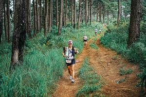 BIB: 
                            <button type="button" onclick="openModal(25652291)" class="btn btn-primary btn-sm float-right btn-popup" data-toggle="modal" data-target=".modal-high-quality">
                        <i class="fas fa-shopping-cart"></i> Add to Cart
                    </button>
                                            <button type="button" onclick="isThisMe(25652291, true)" class="btn btn-success btn-sm float-right btn-popup btn-isme hidden" data-toggle="tooltip" data-placement="bottom" title="นี่คือรูปของคุณใช่ไหม คลิกที่นี่เพื่อเอาเข้าอัลบั้ม">
                        <i class="fas fa-plus"></i> Add to album
                    </button>
                    <button type="button" onclick="isThisMe(25652291, false)" class="btn btn-warning btn-sm float-right btn-popup btn-isnotme hidden">
                        <i class="fas fa-ban"></i> Remove from album
                    </button>